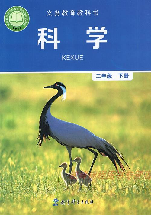 三年级科学下册1.6 比较相同时间内运动的快慢